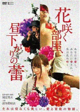 纸鸢与鲸剧场版封面